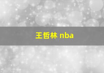 王哲林 nba